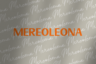 Discover Mereoleona Duo: A Versatile Font for Eye-Catching Branding
