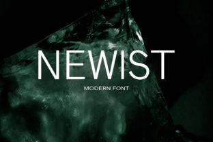 Discover the Unique Charm of Newist Font