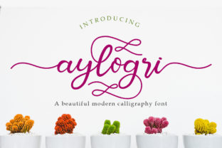 Enhance Your Campaigns with Aylogri, the Elegant Script Font