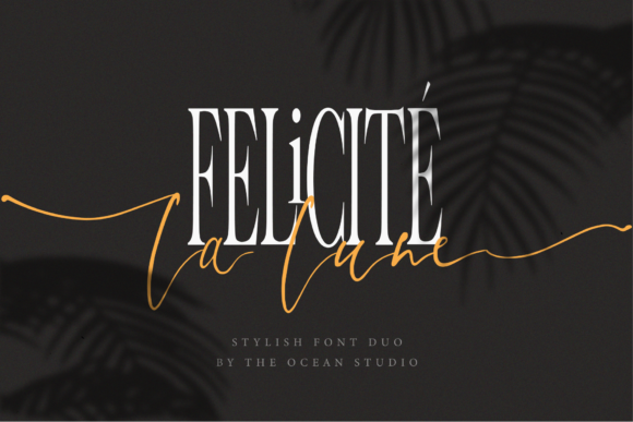 La Lune Duo: Elevate Your Creative Projects with Elegance