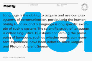 Monty: The Bold and Modern Sans Serif for Your Brand