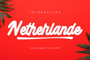 Netherlande: An Elegant Script Font for Web Design