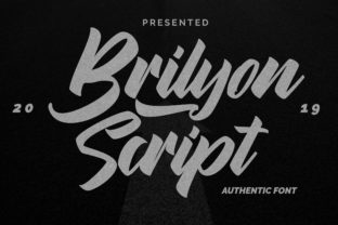 Transform Your Brand with Brylion Script